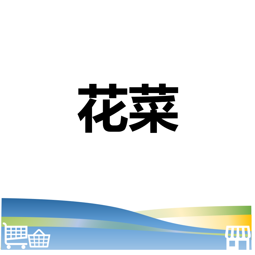萬華好遊